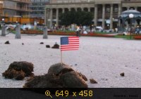 Соединённые Штаты Америки