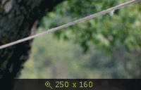 вах какая женщина......