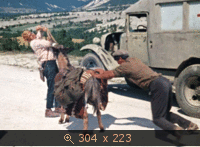 ну и фиг чай с ним с этим нашим кинематографом_значит пешком пойдём ...