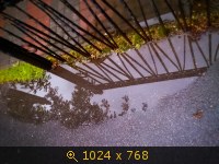 (СПб) после дождя