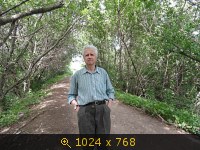 Дорога к восточным садам