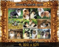 Животные, Украина, картинка 3492844.jpg