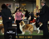 Животные, Украина, картинка 3493271.jpg