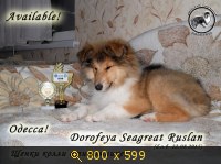 Животные, Украина, картинка 3498500.jpg