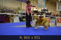 Животные, Украина, картинка 3498502.jpg