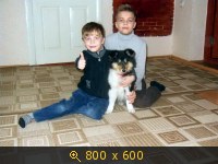 Животные, Украина, картинка 3498524.jpg