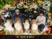 Животные, Украина, картинка 3510754.jpg