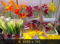 Цветочный рынок