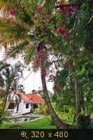 Дом в Доминиканской республике