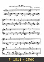 Профессионал / Le professionnel