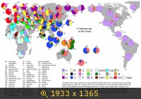 Y - гаплогруппы в Мире