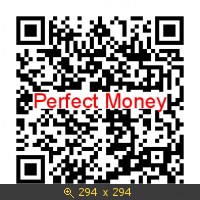 QR Code Perfect Money
