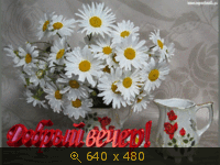 Добрый вечер!